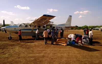 Strategic Partnerships in Africa