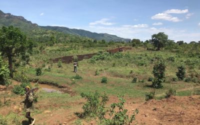 Farming for Peace a Reality in Boma