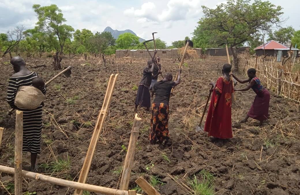 Farming in Omiling, South Sudan