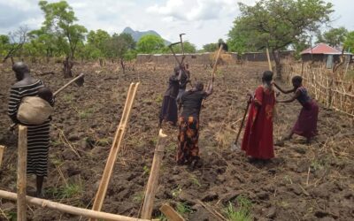 Farming in Omiling, South Sudan